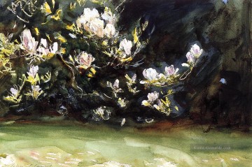 Magnolias John Singer Sargent Ölgemälde